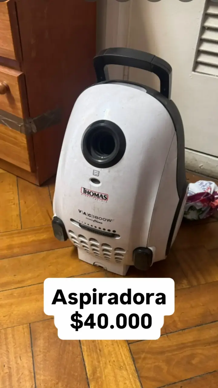 Aspiradora Thomas Viactiv Boow Clean en buen estado