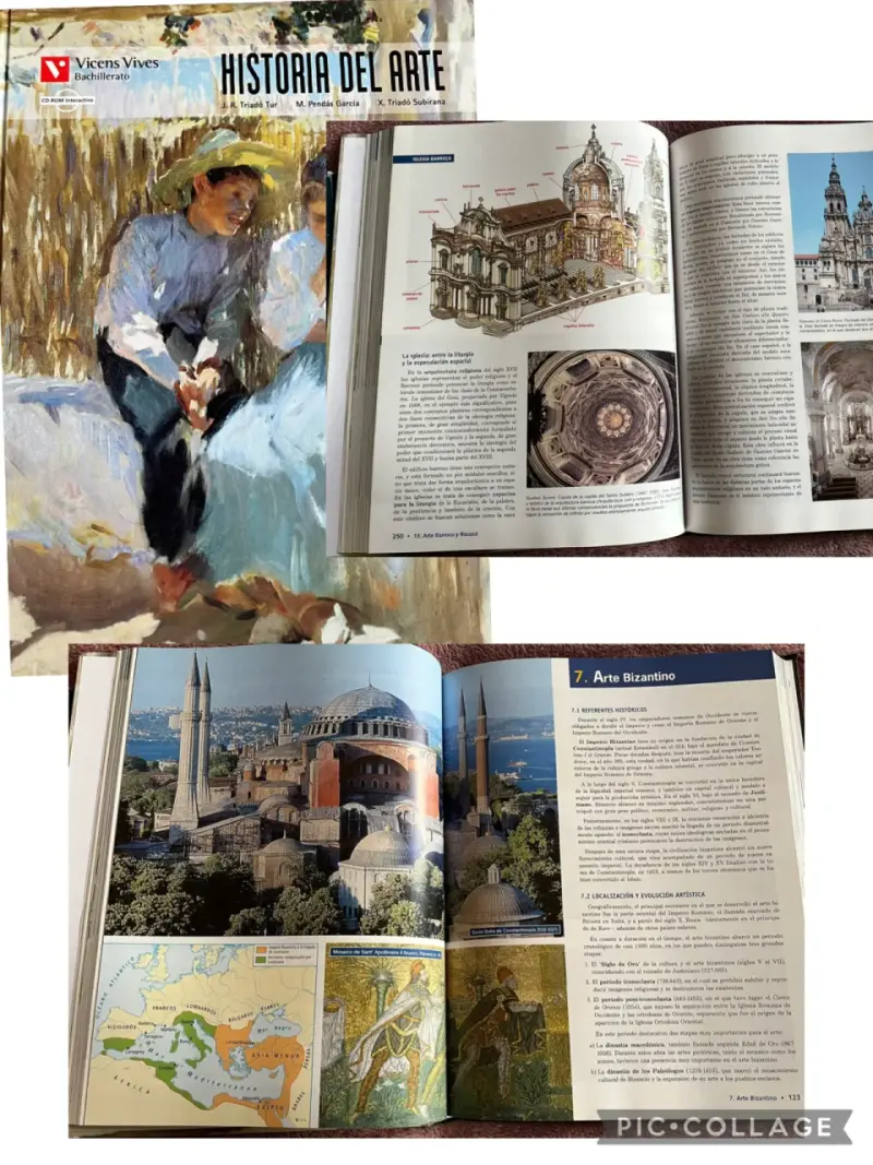 Libro Historia del Arte Vicens Vives