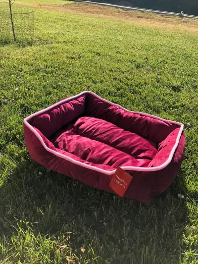 Cama para mascotas roja acolchada - miniatura 1