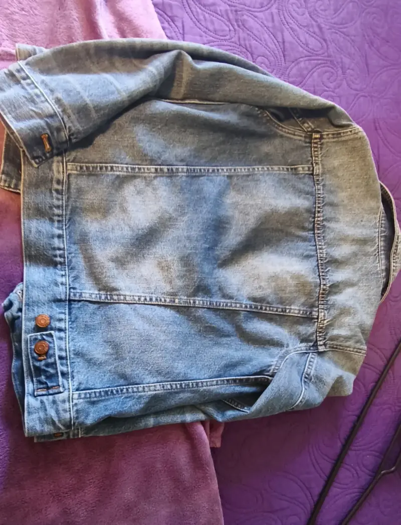 Chaqueta Madewell - 2