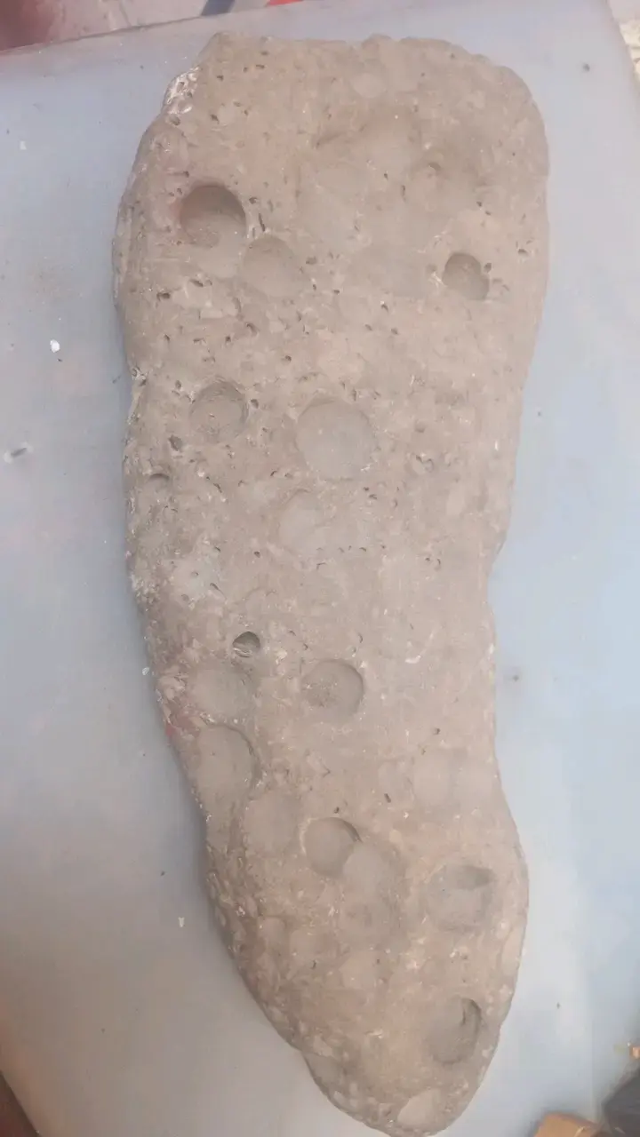 Piedra fósil ermoso productos - 1