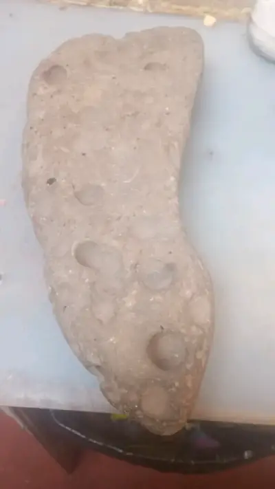 Piedra fósil ermoso productos - miniatura 2