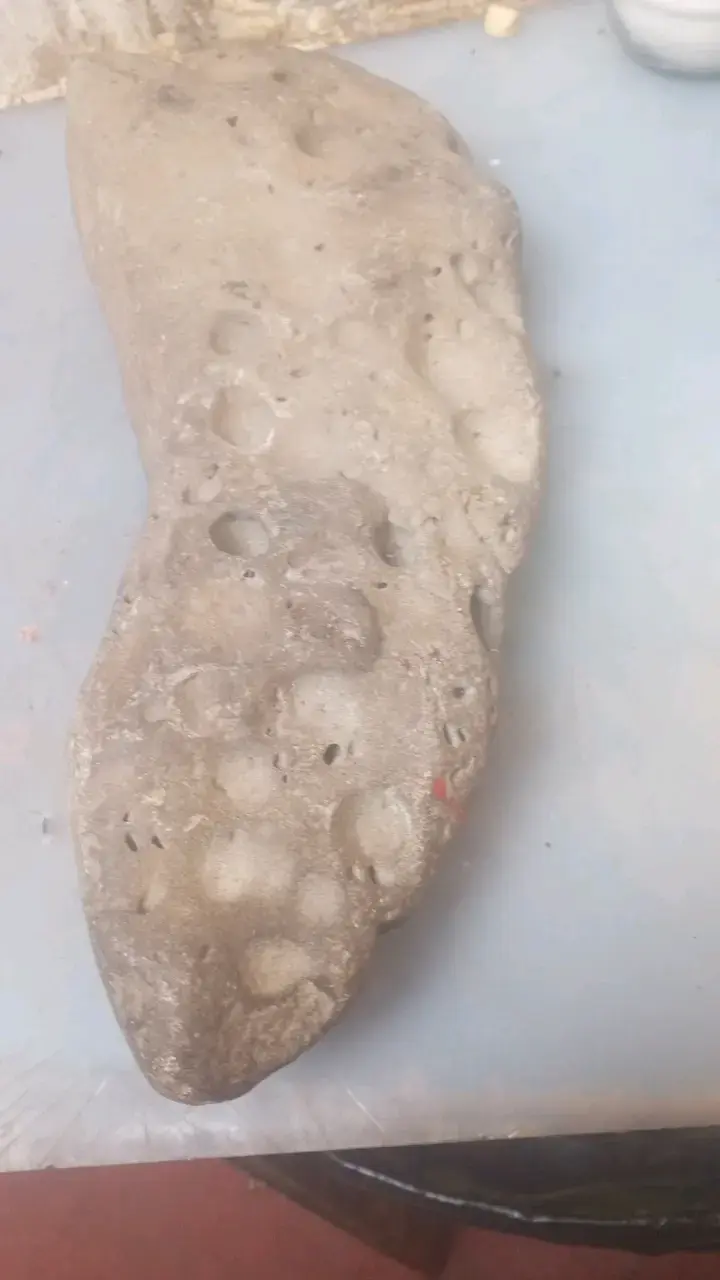 Piedra fósil ermoso productos - 3