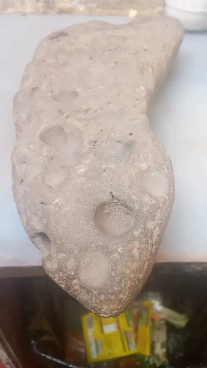 Piedra fósil ermoso productos - 6