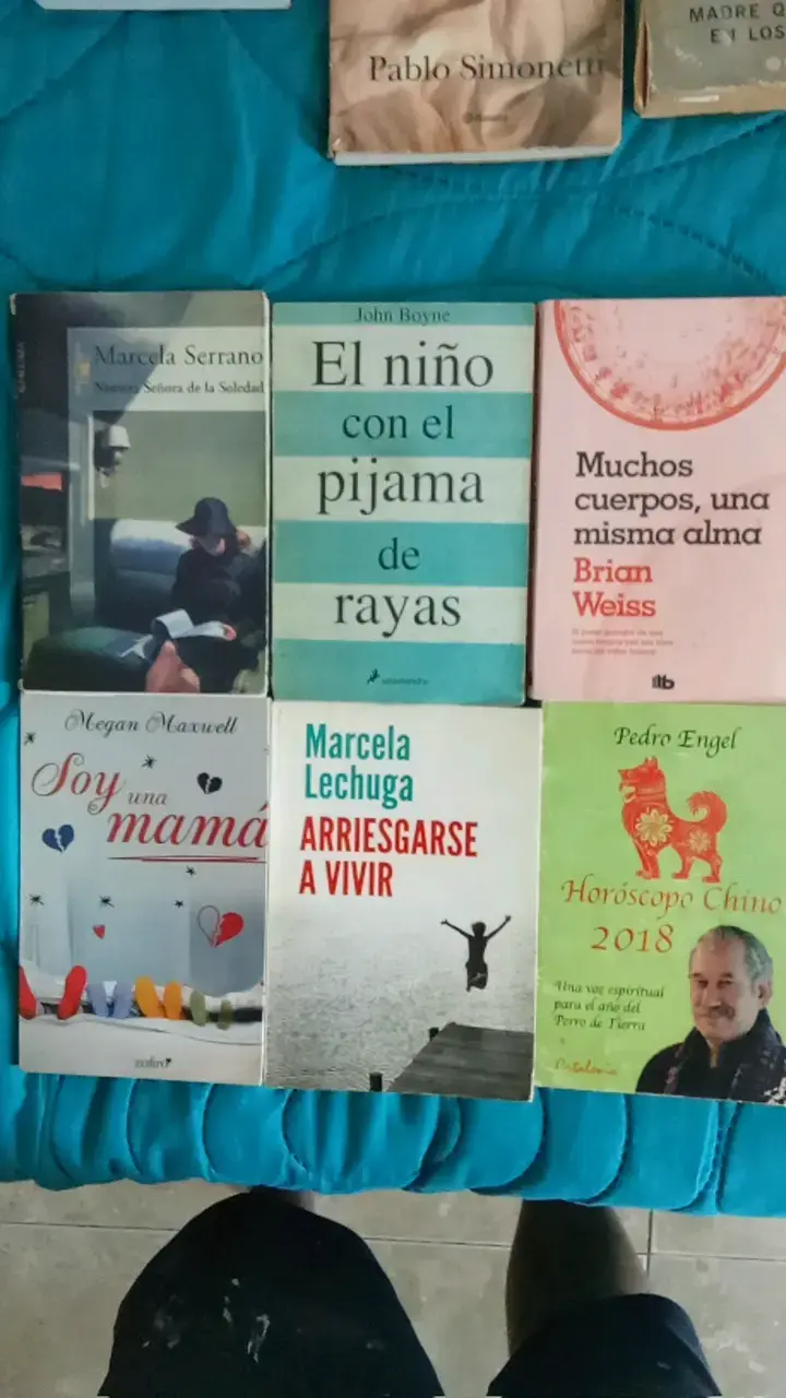 Lote de libros de autores chilenos e internacionales - 2