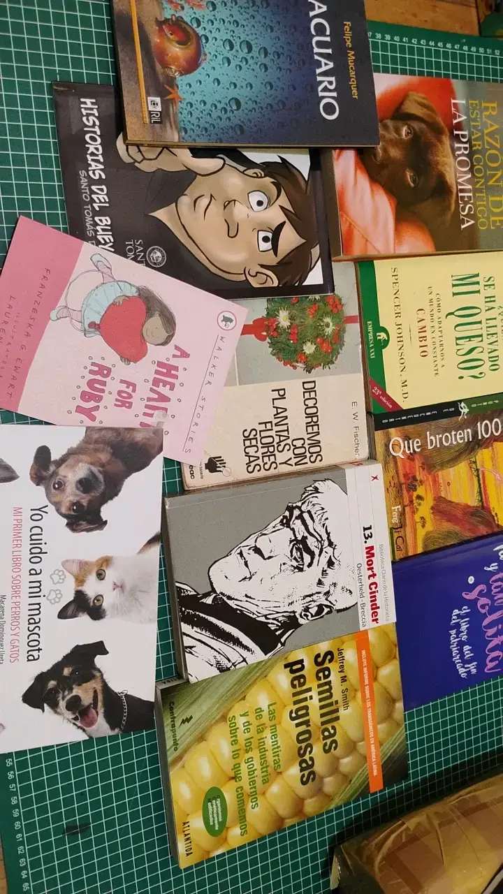 Lote de 11 libros variados - 1