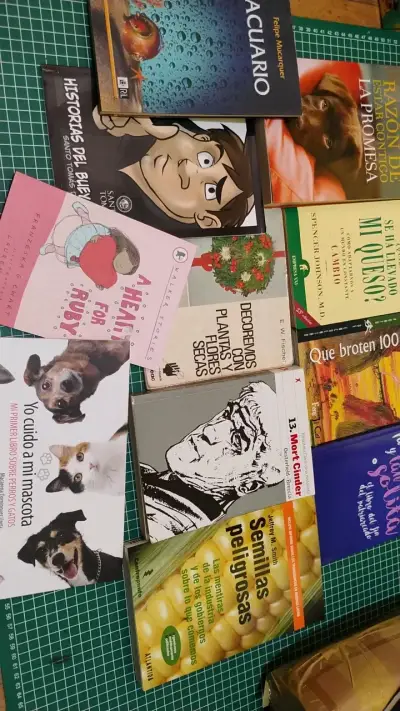 Lote de 11 libros variados - miniatura 1