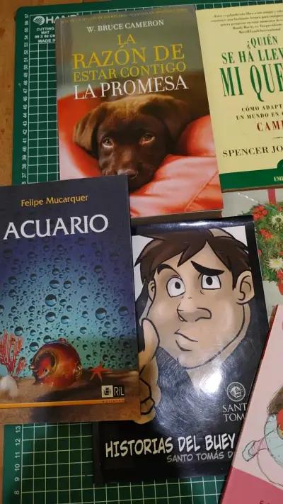 Lote de 11 libros variados - miniatura 2