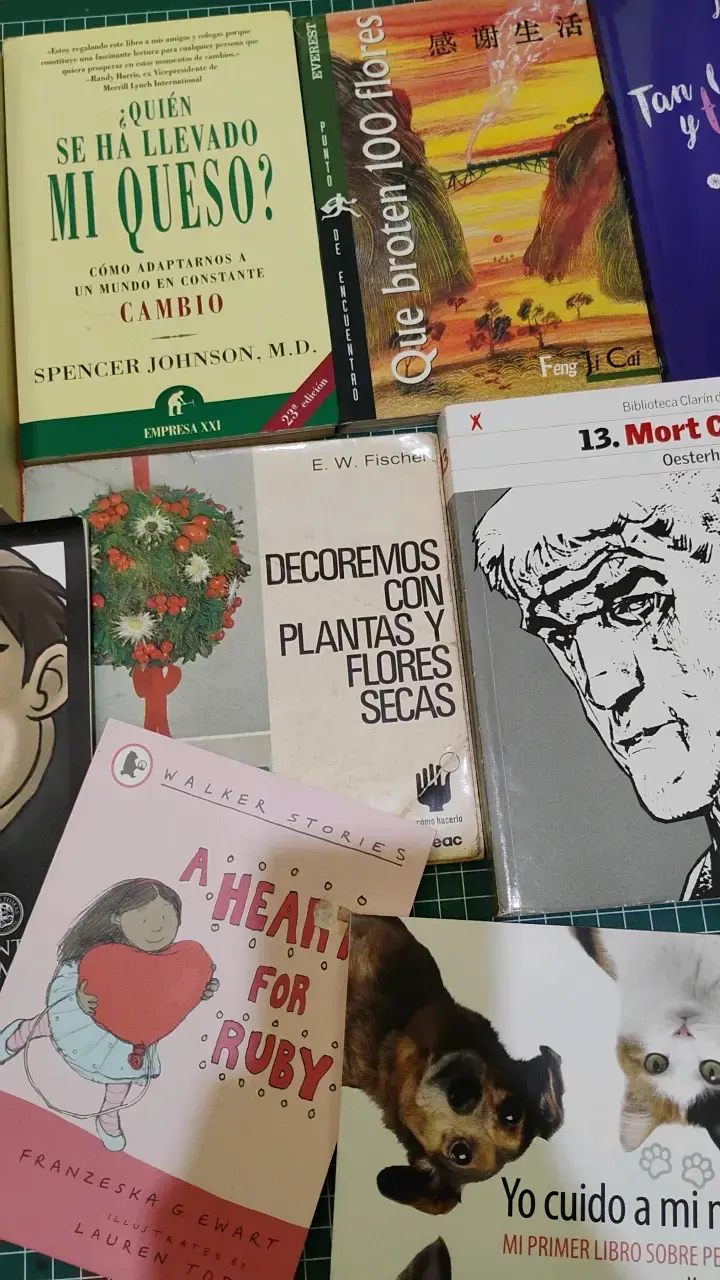 Lote de 11 libros variados - 3