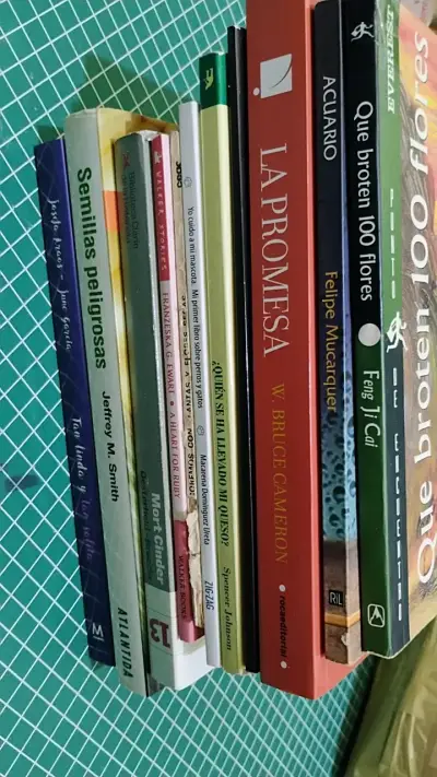 Lote de 11 libros variados - miniatura 5