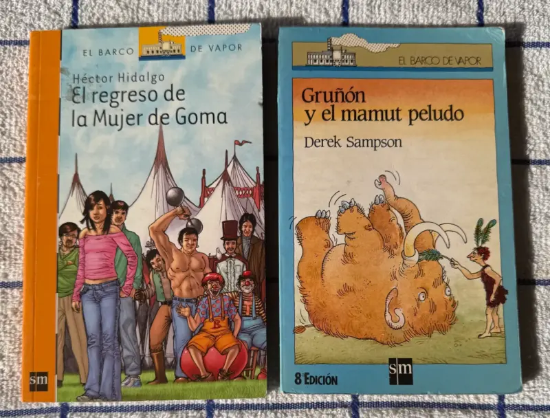 Lote de libros infantiles y juveniles El Barco de Vapor - 1