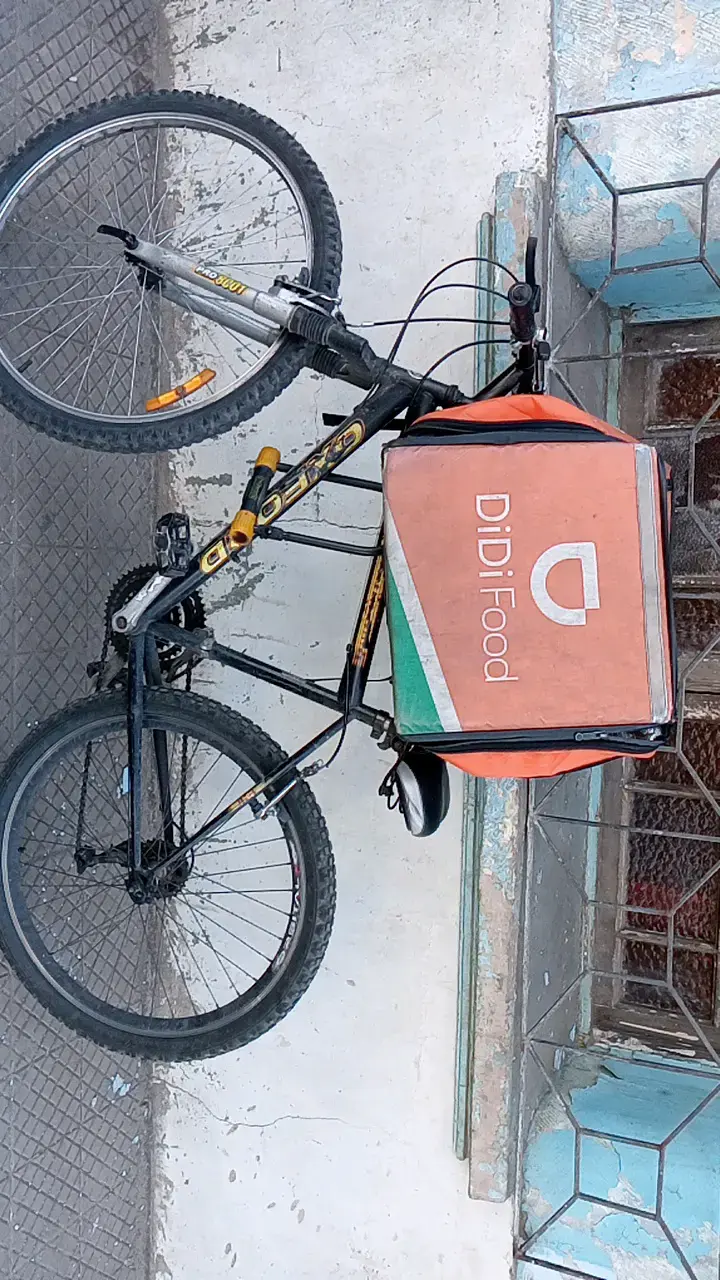 Bicicleta de montaña con bolso de reparto - 2