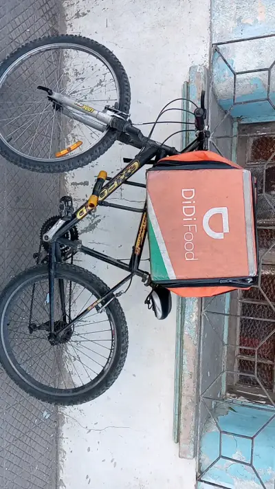 Bicicleta de montaña con bolso de reparto - miniatura 2