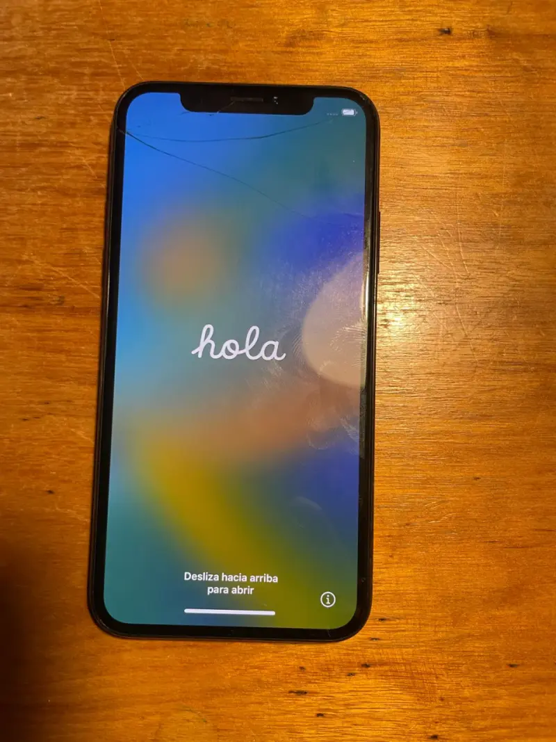 iPhone X con detalles estéticos - 1