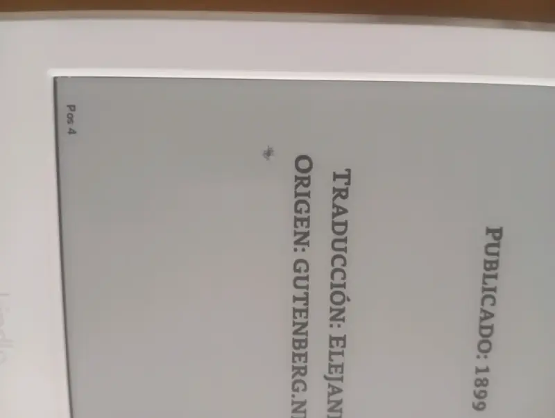 Amazon Kindle 8va Gen (Blanco) / Detalle Pantalla - 4
