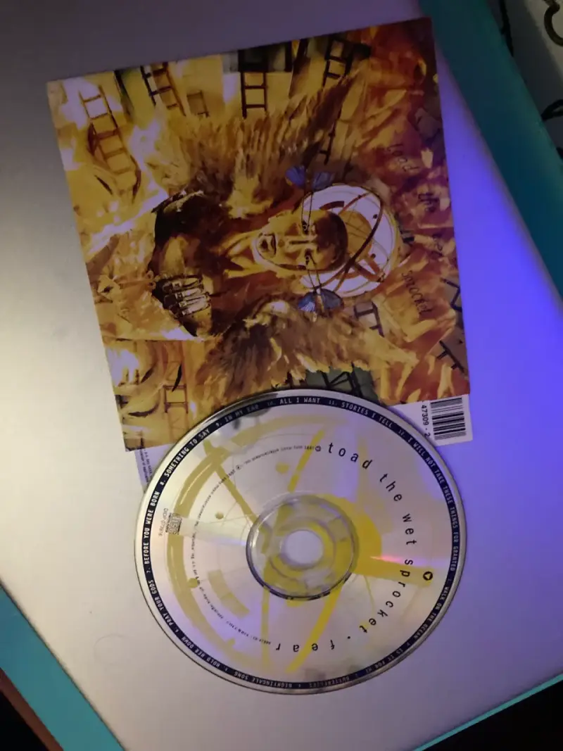 CD Toad the Wet Sprocket Fear en buen estado