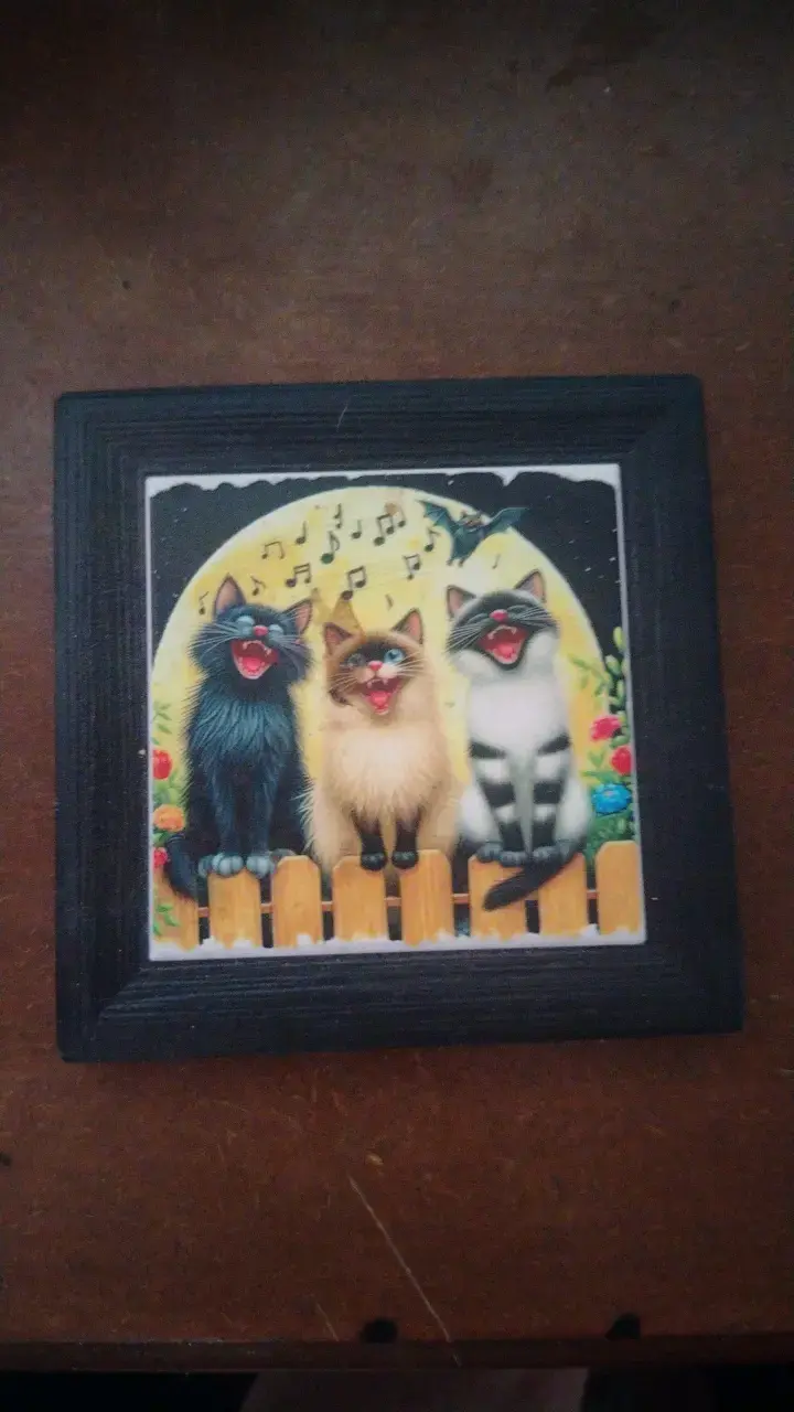 Posavasos de gatitos y perritos