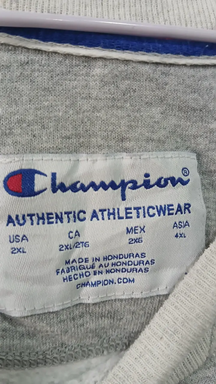 Polerón gris Champion talla 2XL - 1