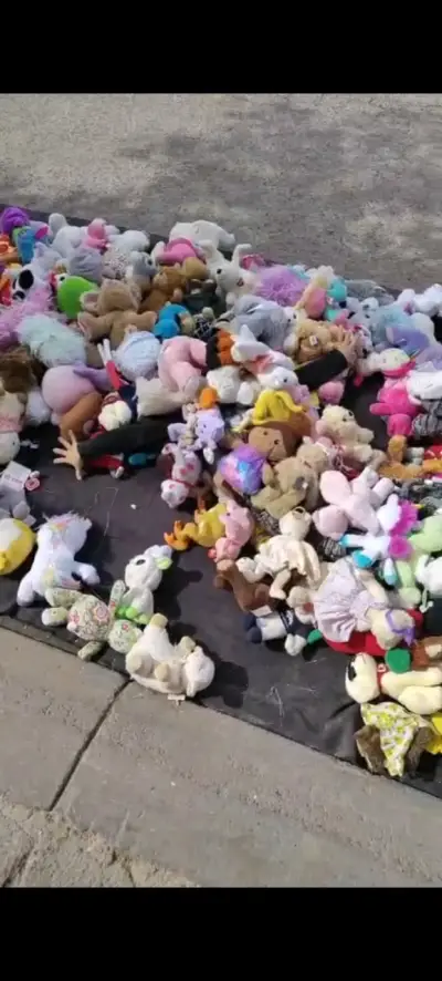 Lote de peluches   en buen estado son varios sacos - miniatura 1