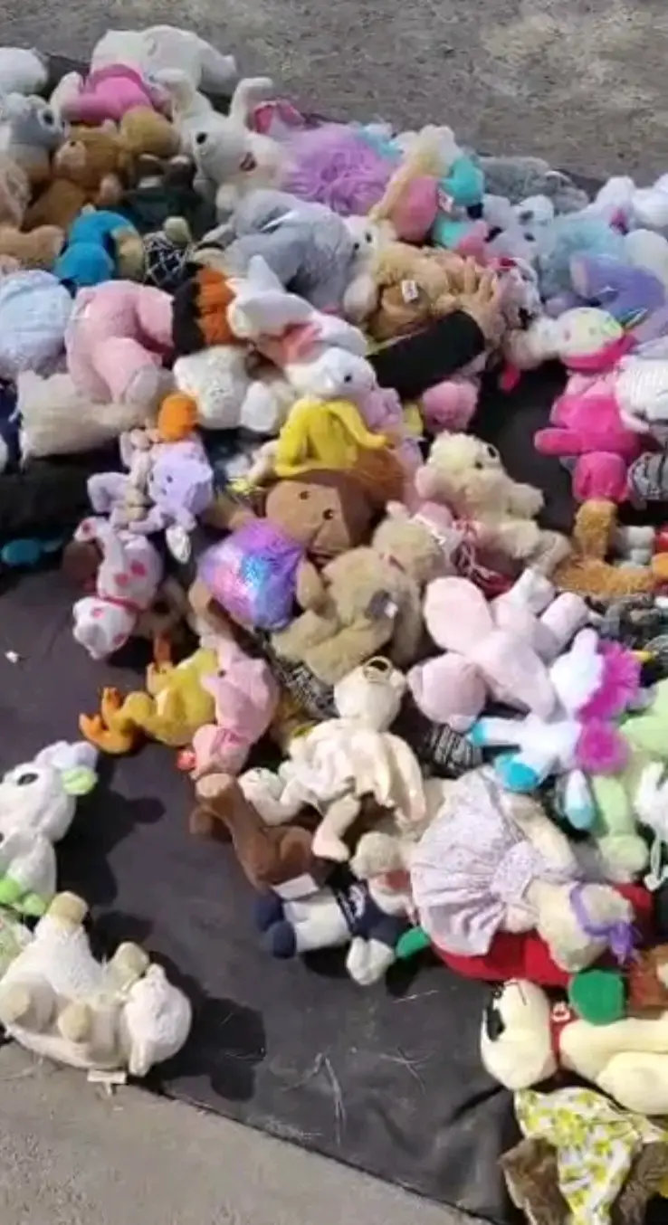 Lote de peluches en buen estado son varios sacos - 2