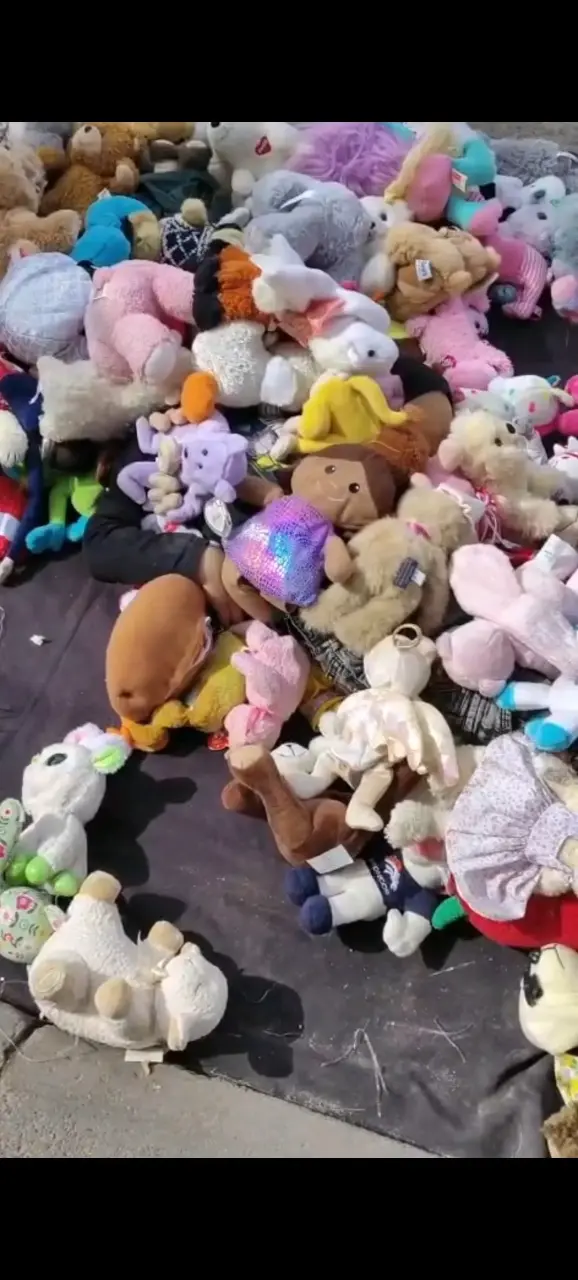 Lote de peluches en buen estado son varios sacos - 3