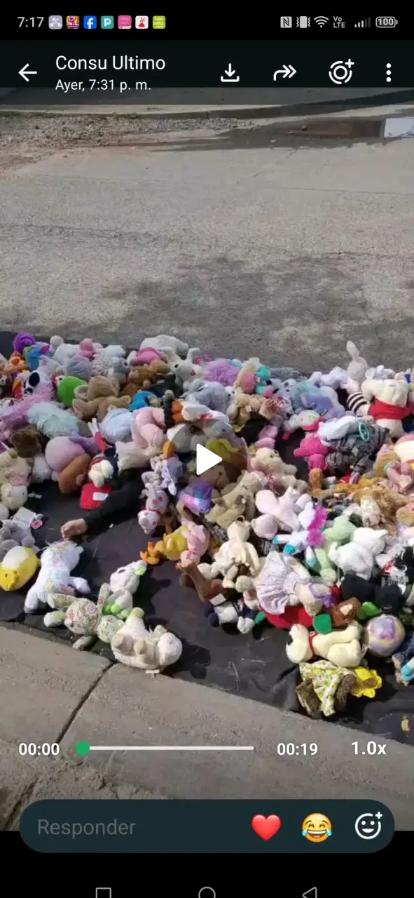 Lote de peluches en buen estado son varios sacos - 4