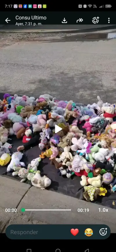Lote de peluches   en buen estado son varios sacos - miniatura 4