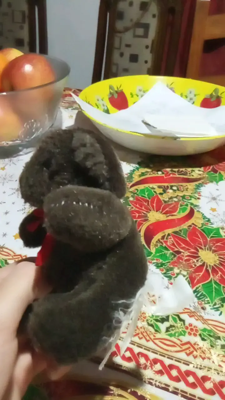 Osito de peluche pequeño - 3