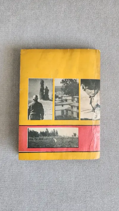 Libro Mensaje del Presidente Eduardo Frei Montalva 1969 - miniatura 6