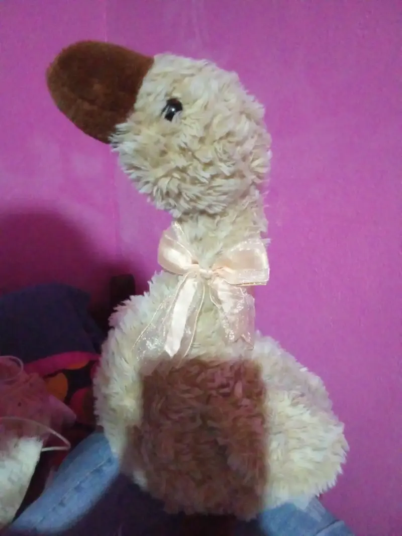 Hermoso patito grande vintage - 2