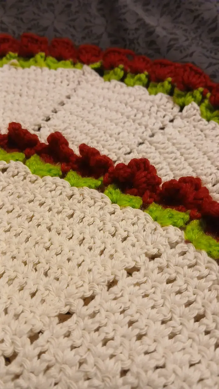Individual redondo tejido a crochet - 3