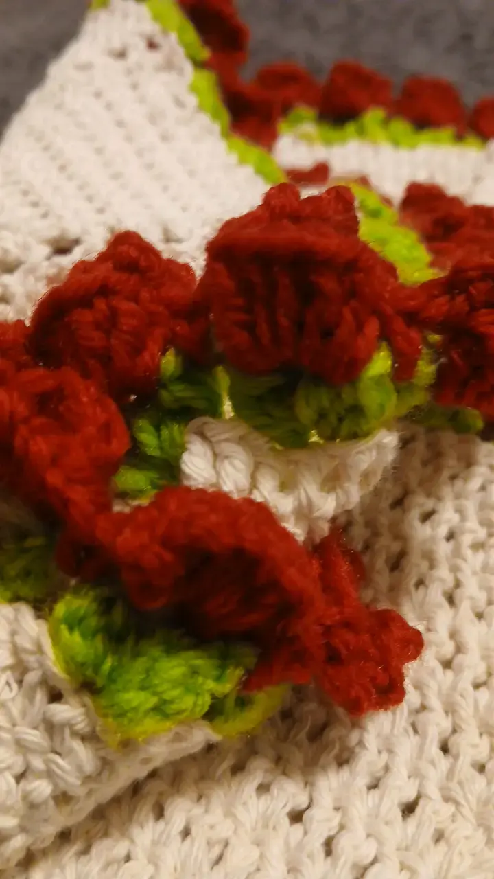 Individual redondo tejido a crochet - 4