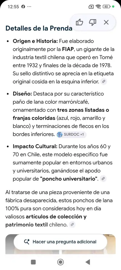 Poncho Fiap-Tome con franjas coloridas - miniatura 4