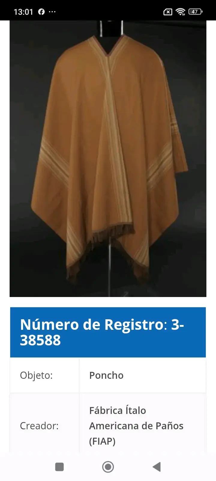 Poncho Fiap-Tome con franjas coloridas - 6