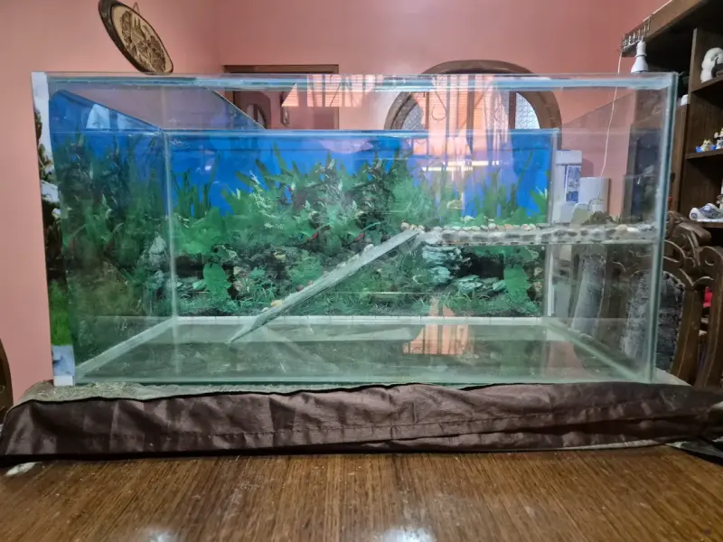 Terrario/acuario 80x40x30 precio final - 1