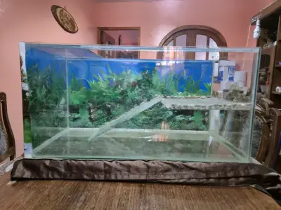 Terrario/acuario 80x40x30 precio final - miniatura 2