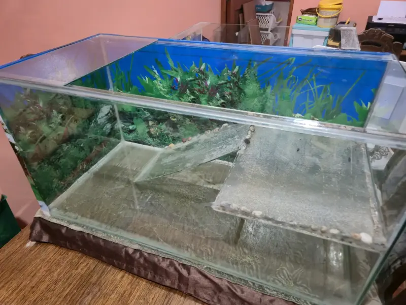 Terrario/acuario 80x40x30 precio final - 3