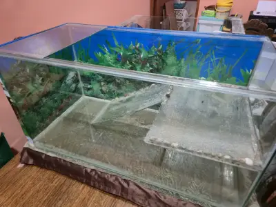 Terrario/acuario 80x40x30 precio final - miniatura 3