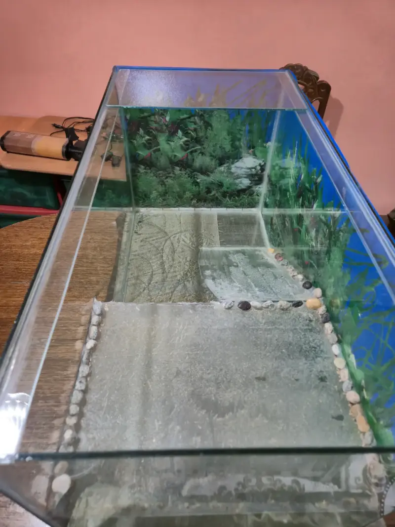 Terrario/acuario 80x40x30 precio final - 4
