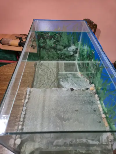Terrario/acuario 80x40x30 precio final - miniatura 4