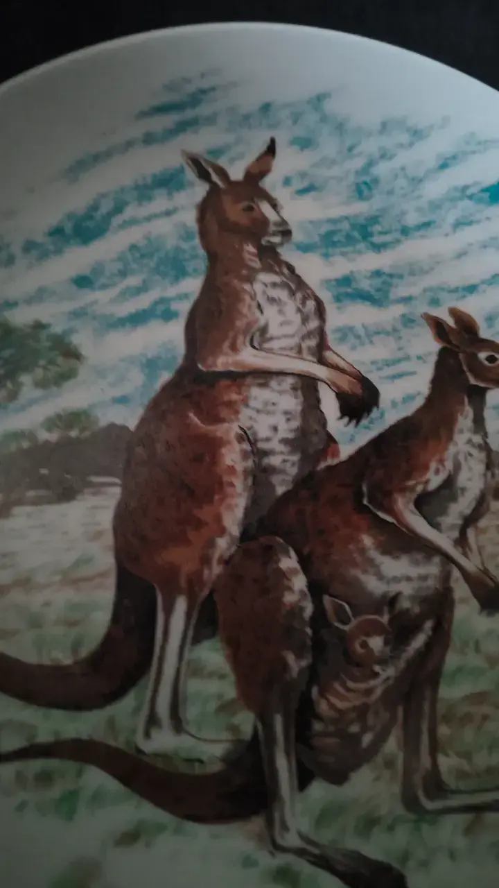 Plato decorativo con canguros de Australia - 3