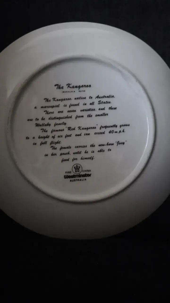 Plato decorativo con canguros de Australia - 4