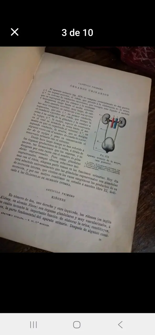 Colección de 5libros Tratado de Anatomía Humana de - 3