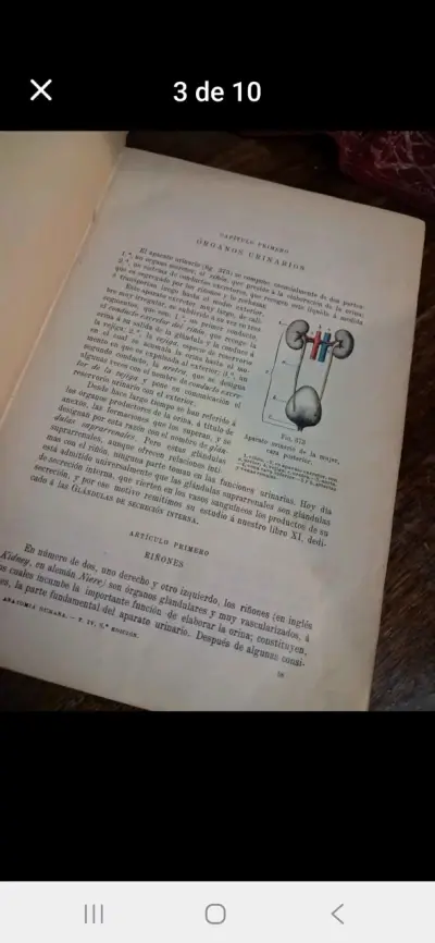 Colección de 5libros Tratado de Anatomía Humana de - miniatura 3