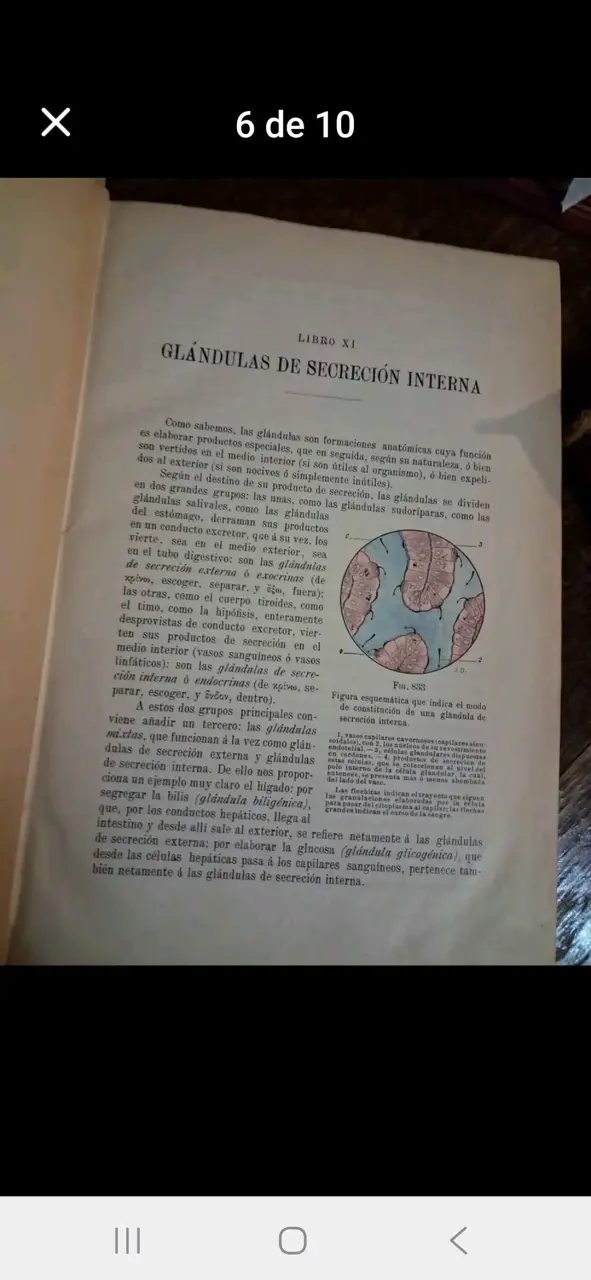 Colección de 5libros Tratado de Anatomía Humana de - 6