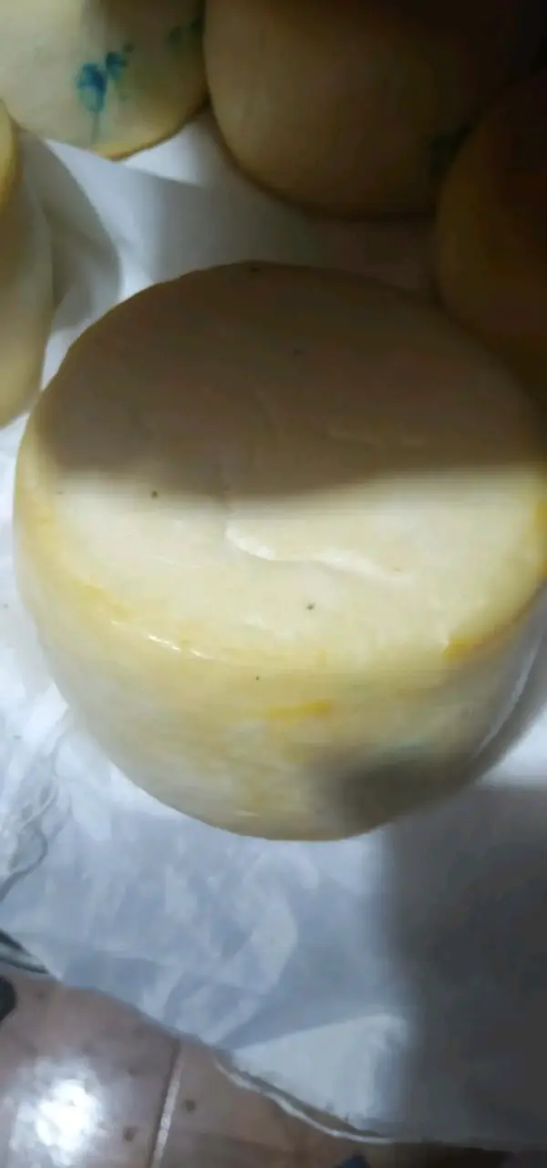 Queso artesanal fresco