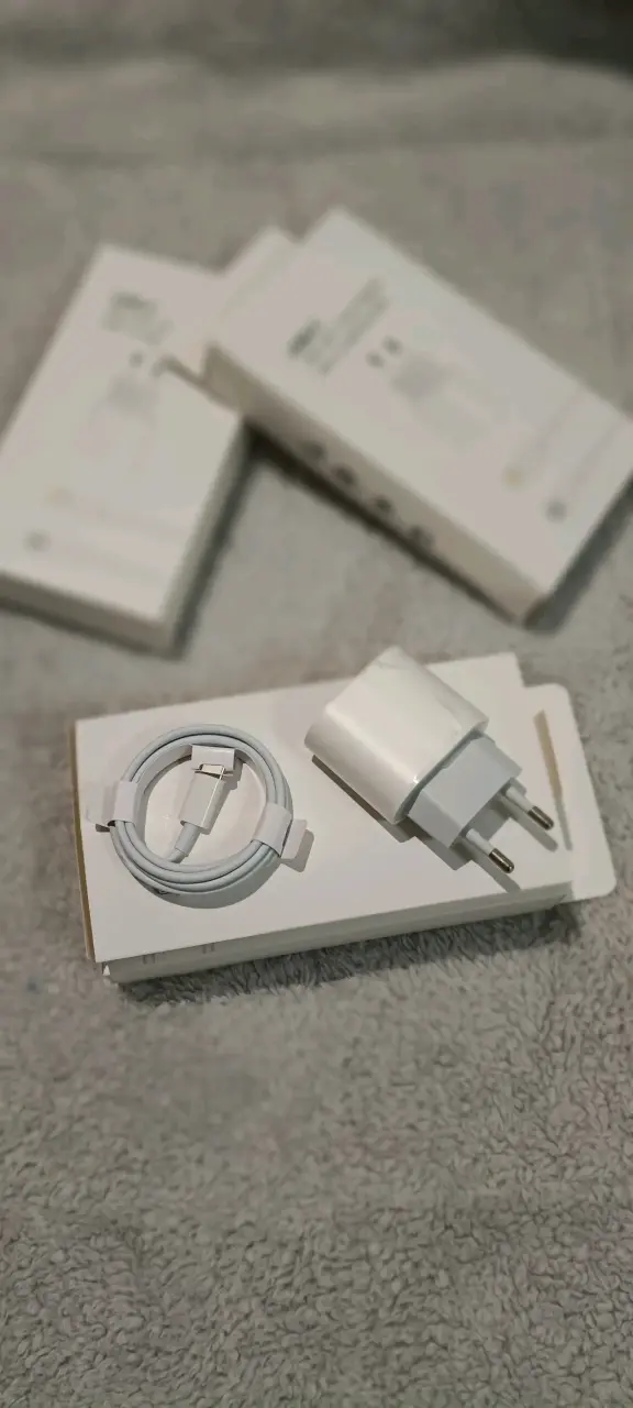 Cargador USB con cable Lightning