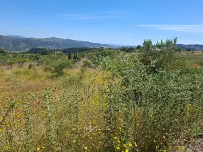 Parcela Hualañe - miniatura 3