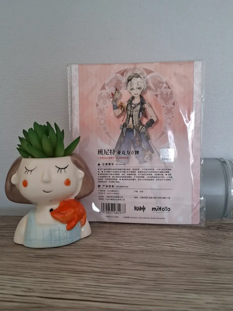 Figura acrílica de personaje anime - 2