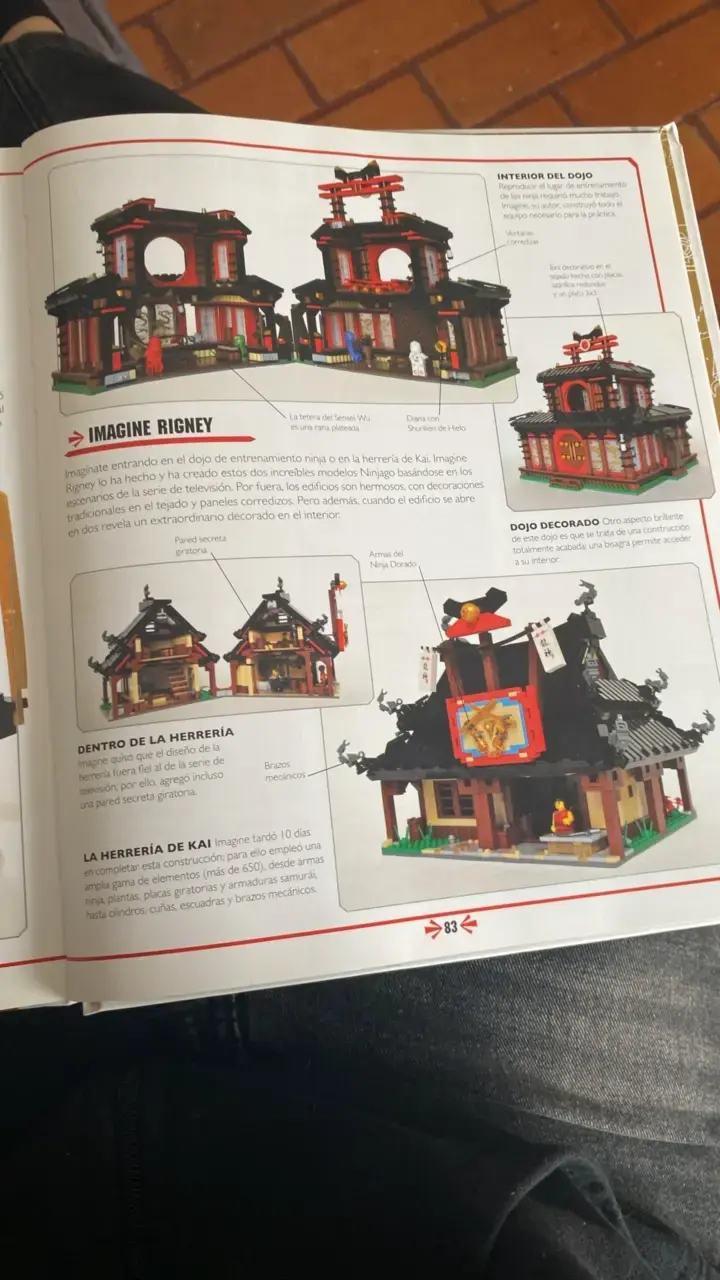 Libro LEGO Ninjago El Diccionario Visual - 3